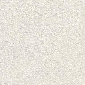 Aries 1601 Brilliant White 54" by Softside Fabric