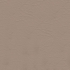 Aries 1604 Sand Dollar 54" by Softside Fabric