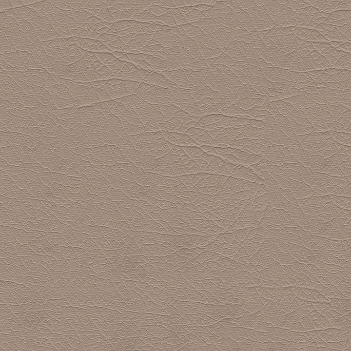 Aries 1604 Sand Dollar 54" by Softside Fabric N/A 100% Polyvinyl Chloride (PVC) Columbia 50,000 Double Rubs </p><p>Repeat: Horizontal: and Vertical: 54" (137 cm) - Fabric Carolina -