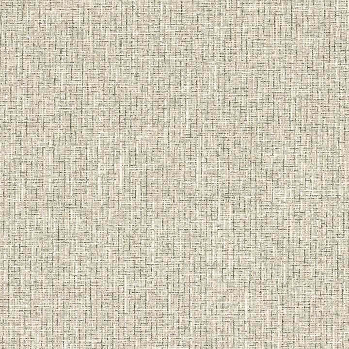 Arkansas 1 Black/Ivory by Stout Fabric Stout Fabric Arkansas 1 Black/IvoryFabric COLOR MY WINDOW SMOKE/CHARCOAL 63%POL 37%COT INDIA </p><p>Repeat: H: 0.000, V: 0.000 57 in - Fabric Carolina -