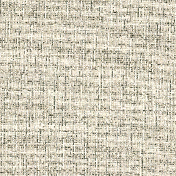 Arkansas 1 Black/Ivory by Stout Fabric Stout Fabric Arkansas 1 Black/IvoryFabric COLOR MY WINDOW SMOKE/CHARCOAL 63%POL 37%COT INDIA </p><p>Repeat: H: 0.000, V: 0.000 57 in - Fabric Carolina -