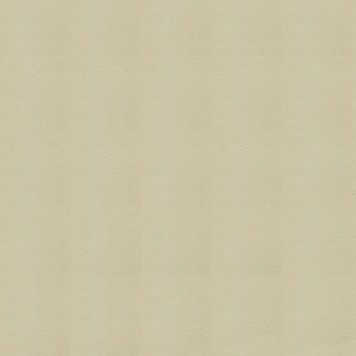 Armada 102 Biscay Ivory by Ship to Shore Fabric 100% Polyvinyl Chloride (PVC) Taiwan 50,000 Double Rubs (Wyzenbeek) </p><p>Repeat: Horizontal: and Vertical: 54" (137 cm) - Fabric Carolina -
