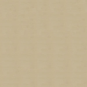 Armada 118 Sand Dune by Ship to Shore Fabric