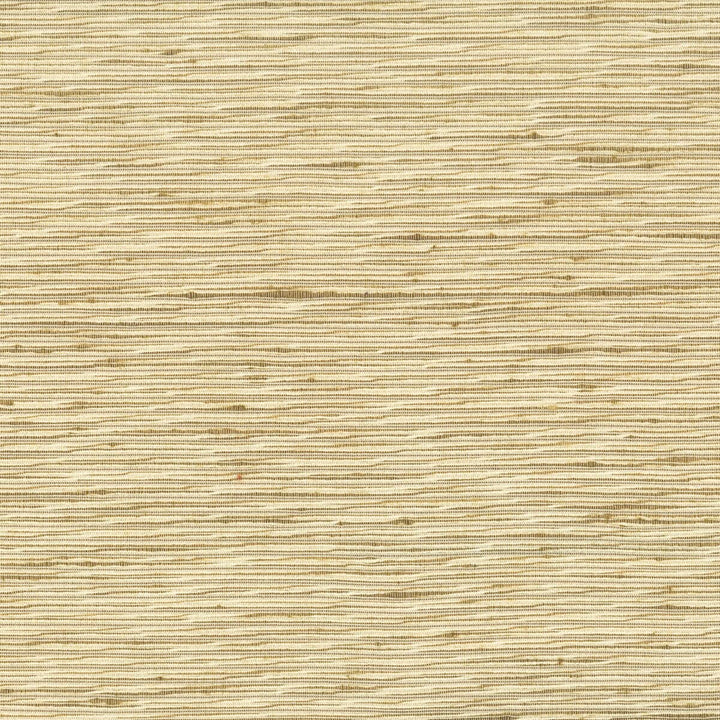 Arrangement 1 Brass by Stout Fabric COLOR MY WINDOW NATURAL/TOAST 100%POL INDIA FLAME RETARDANT-N.F.P.A. 701 SMALL SCALE Horizontal: 0 and Vertical: 0 54 in - Fabric Carolina -