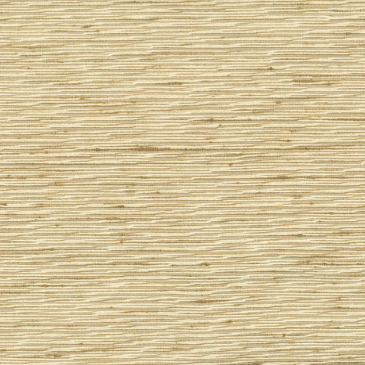 Arrangement 1 Brass by Stout Designer Fabric COLOR MY WINDOW NATURAL/TOAST 100%POL INDIA FLAME RETARDANT-N.F.P.A. 701 SMALL SCALE Horizontal: 0 and Vertical: 0 54 in - Swanky Fabrics -