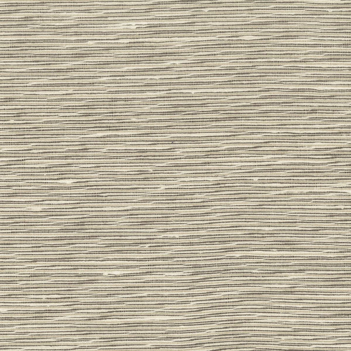Arrangement 2 Nickel by Stout Fabric COLOR MY WINDOW GREY/CINDER 100%POL INDIA FLAME RETARDANT-N.F.P.A. 701 SMALL SCALE Horizontal: 0 and Vertical: 0 54 in - Fabric Carolina -