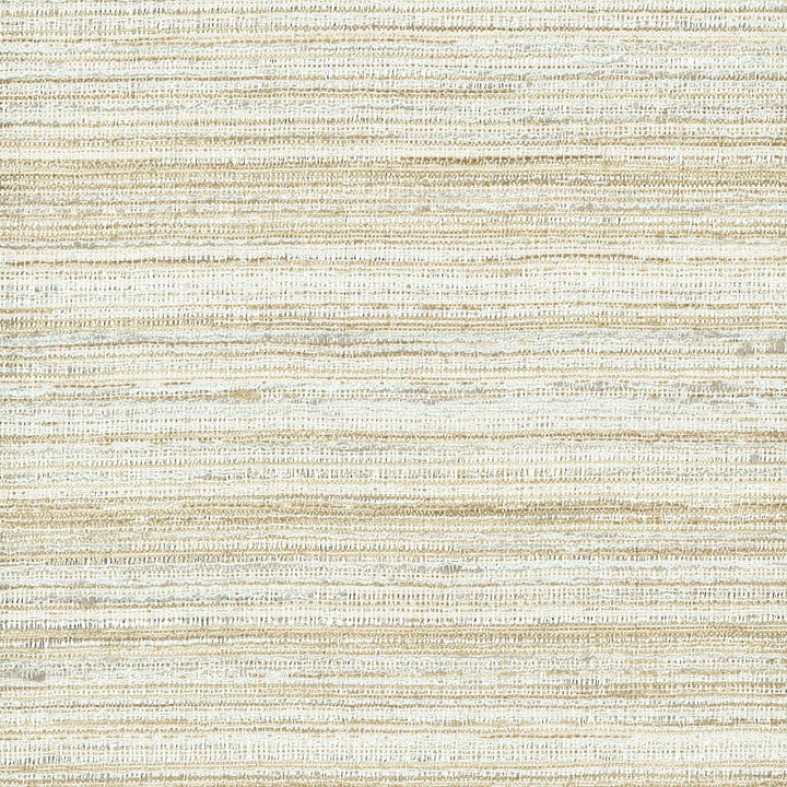 Aruba 11 Smoke by Stout Fabric Spree Drapery Textures 75% Polyester 25% Spun Viscose INDIA FLAME RETARDANT-U.F.A.C. CLASS 1 (OR A) FLAME RETARDANT-N.F.P.A. 260A CLASS 1 CATB 117-2013 WYZENBEEK 50 000 DOUBLE RUB WEAR TEST (HEAVY DUTY) Horizontal: 0 and Vertical: 0 54 in - Fabric Carolina -