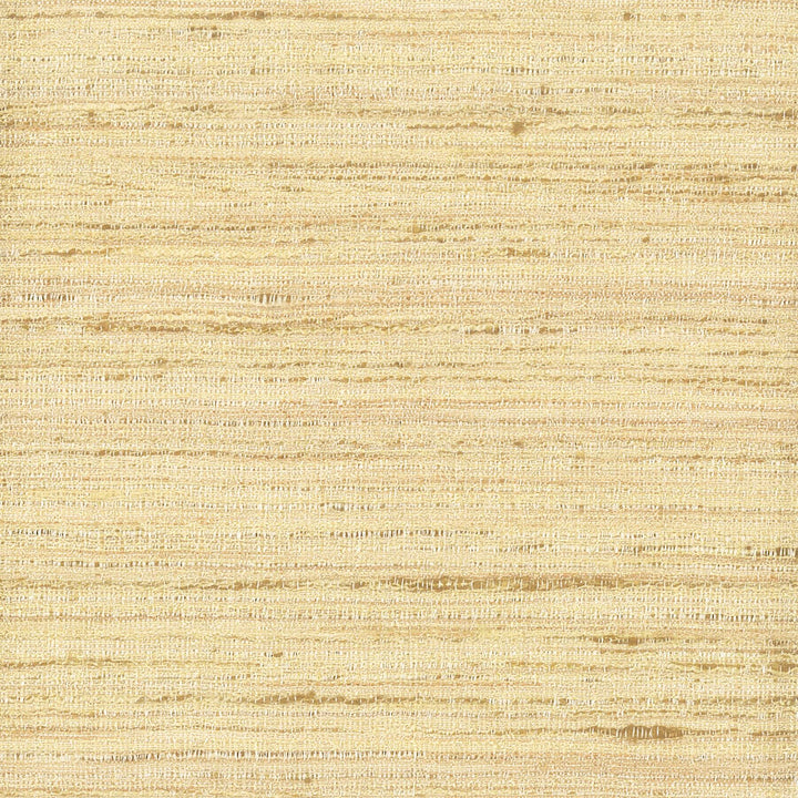 Aruba 2 Dijon by Stout Fabric Stout Fabric Aruba 2 DijonFabric SPREE Fabric TEXTURES INDIA </p><p>Repeat: H: 0.000, V: 0.000 54 in - Fabric Carolina -