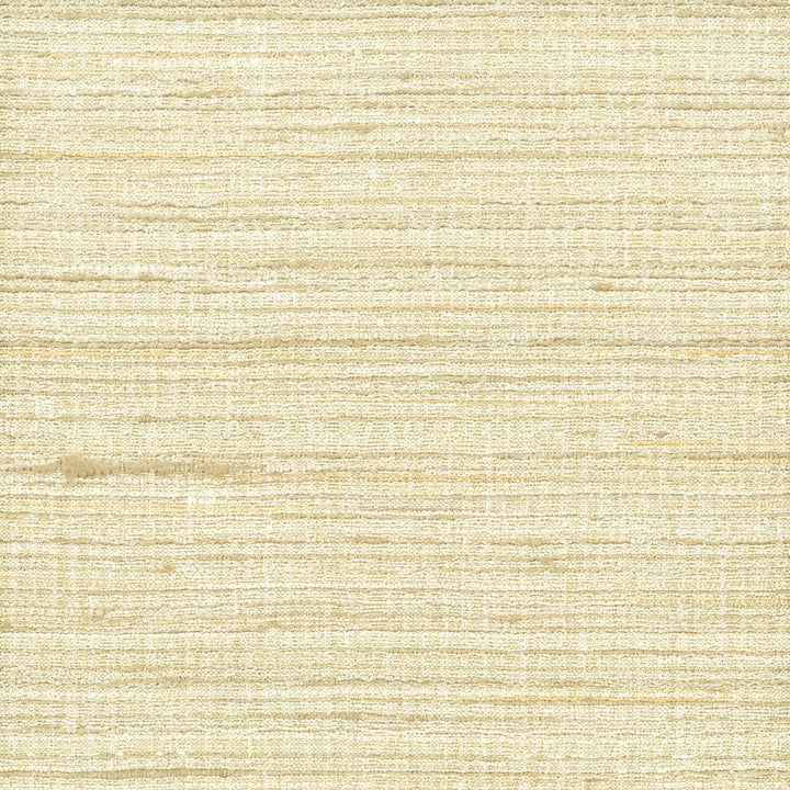 Aruba 5 Bamboo by Stout Fabric SPREE DRAPERY TEXTURES 75%POL 25%SVI INDIA FLAME RETARDANT-U.F.A.C. CLASS 1 FLAME RETARDANT-N.F.P.A. 260A CLASS 1 CATB 117-2013 WYZENBEEK 50 000 DOUBLE RUB WEAR TEST (HEAVY DUTY) Horizontal: 0 and Vertical: 0 54 in - Fabric Carolina -
