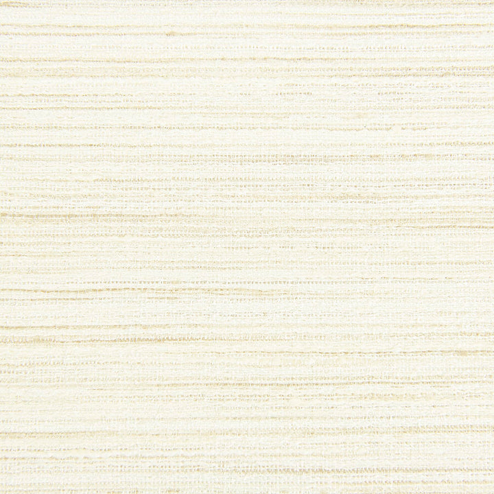 Aruba 8 Marble by Stout Fabric SPREE DRAPERY TEXTURES 75%POL 25%SVI INDIA FLAME RETARDANT-U.F.A.C. CLASS 1 FLAME RETARDANT-N.F.P.A. 260A CLASS 1 CATB 117-2013 WYZENBEEK 50 000 DOUBLE RUB WEAR TEST (HEAVY DUTY) Horizontal: 0 and Vertical: 0 54 in - Fabric Carolina -
