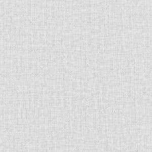 Ajax # 968 Mist by Maxwell Fabric