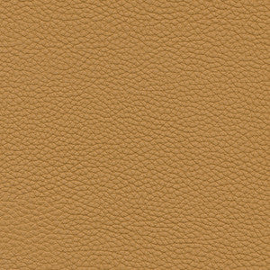 Andalusia-Nj # 617 Biscuit by Maxwell Fabric
