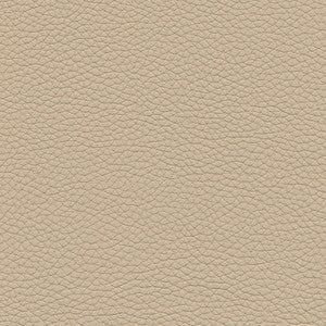 Andalusia-Nj # 622 Cookie Dough by Maxwell Fabric