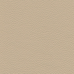 Andalusia-Nj # 622 Cookie Dough by Maxwell Fabric