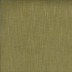 Asbury Fern by Norbar Fabric Color/GREEN-CITRUS 67% POLYESTER 19% COTTON 14VISC 50,000 WYZENBEEK 55" - Fabric Carolina -