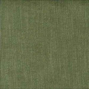 Asbury Grass by Norbar Fabric