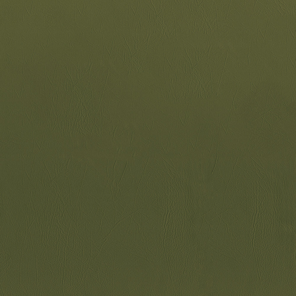 Ascent 208 Fern by GUARDIAN Fabric 100% Polyvinyl Chloride (PVC) 1,500,000 Double Rubs (Wyzenbeek) </p><p>Repeat: Horizontal: and Vertical: 54 in. (137 cm) - Fabric Carolina -