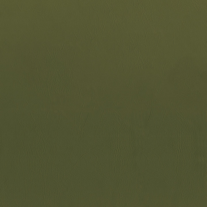 Ascent 208 Fern by GUARDIAN Fabric 100% Polyvinyl Chloride (PVC) 1,500,000 Double Rubs (Wyzenbeek) </p><p>Repeat: Horizontal: and Vertical: 54 in. (137 cm) - Fabric Carolina -