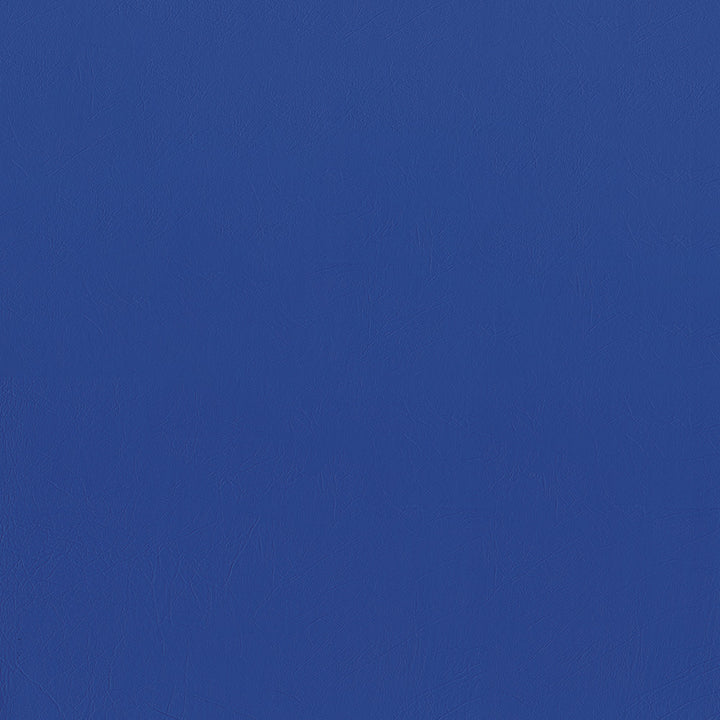 Ascent 3001 Lake Blue by GUARDIAN Fabric 100% Polyvinyl Chloride (PVC) 1,500,000 Double Rubs (Wyzenbeek) </p><p>Repeat: Horizontal: and Vertical: 54 in. (137 cm) - Fabric Carolina -