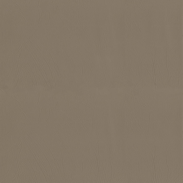 Ascent 6006 Mushroom by GUARDIAN Fabric 100% Polyvinyl Chloride (PVC) 1,500,000 Double Rubs (Wyzenbeek) </p><p>Repeat: Horizontal: and Vertical: 54 in. (137 cm) - Fabric Carolina -