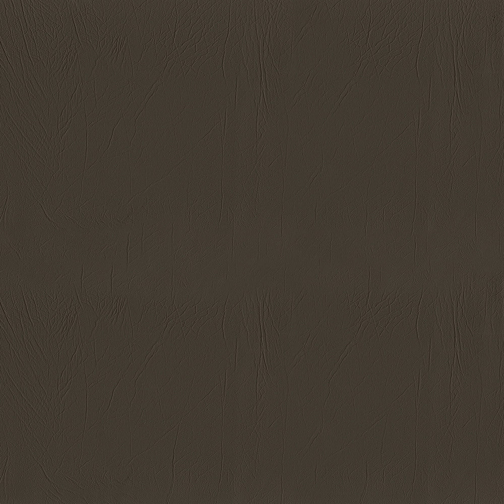 Ascent 6009 Taupe by GUARDIAN Fabric 100% Polyvinyl Chloride (PVC) 1,500,000 Double Rubs (Wyzenbeek) </p><p>Repeat: Horizontal: and Vertical: 54 in. (137 cm) - Fabric Carolina -