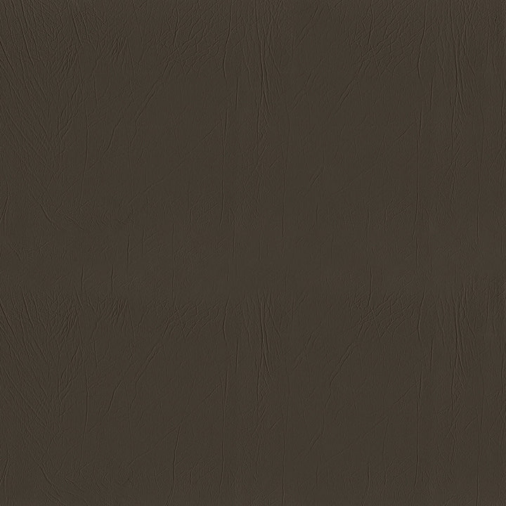 Ascent 6009 Taupe by GUARDIAN Fabric 100% Polyvinyl Chloride (PVC) 1,500,000 Double Rubs (Wyzenbeek) </p><p>Repeat: Horizontal: and Vertical: 54 in. (137 cm) - Fabric Carolina -