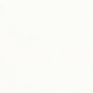 Ascent 602 Mystic White by GUARDIAN Fabric