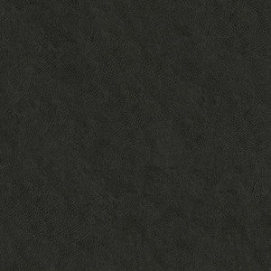 Ascent 7009 Charcoal Dust by GUARDIAN Fabric
