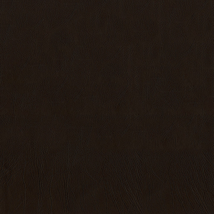 Ascent 8009 Espresso by GUARDIAN Fabric 100% Polyvinyl Chloride (PVC) 1,500,000 Double Rubs (Wyzenbeek) </p><p>Repeat: Horizontal: and Vertical: 54 in. (137 cm) - Fabric Carolina -