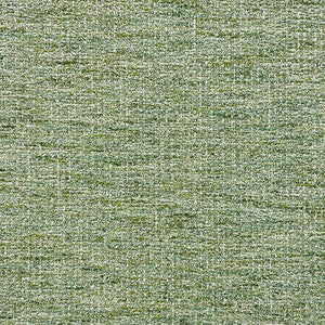 Asher Dew by Magnolia Fabric