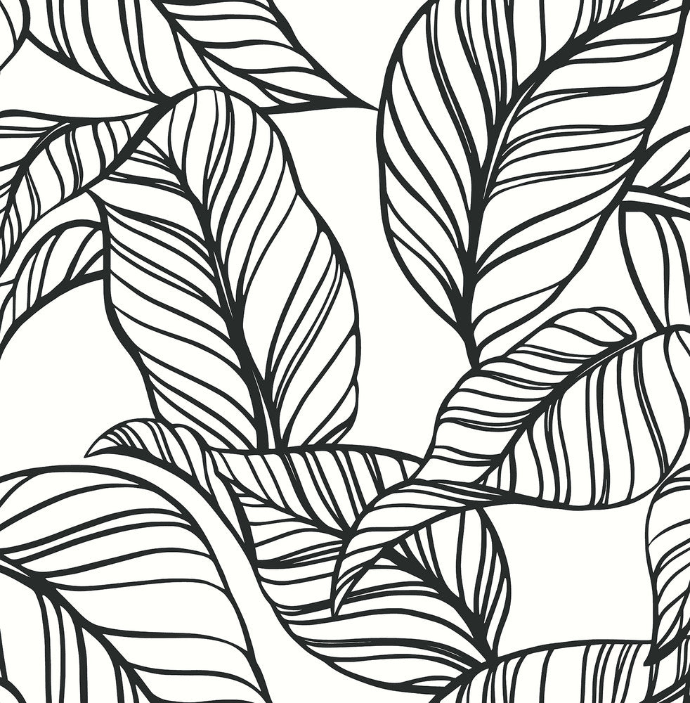 Kagan Black Large Leaf Wallpaper by A-Street Prints A-Street Select Covers about 56.4 square feet 20.5-in by 33-ft long roll Unpasted 21.25 - Fabric Carolina -