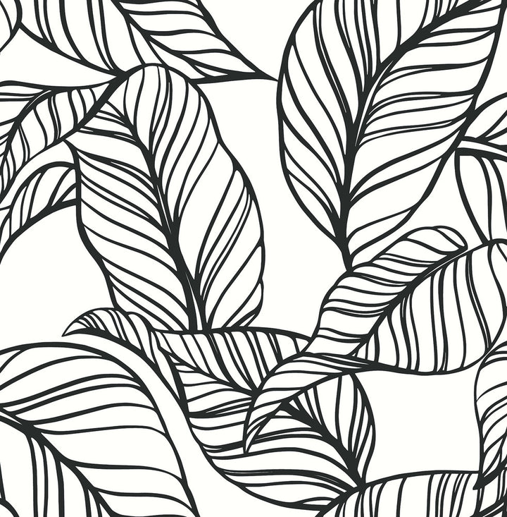 Kagan Black Large Leaf Wallpaper by A-Street Prints A-Street Select Covers about 56.4 square feet 20.5-in by 33-ft long roll Unpasted 21.25 - Fabric Carolina -