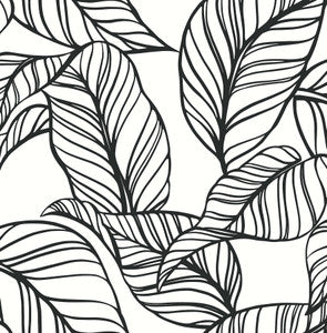 Kagan Black Large Leaf Wallpaper by A-Street Prints