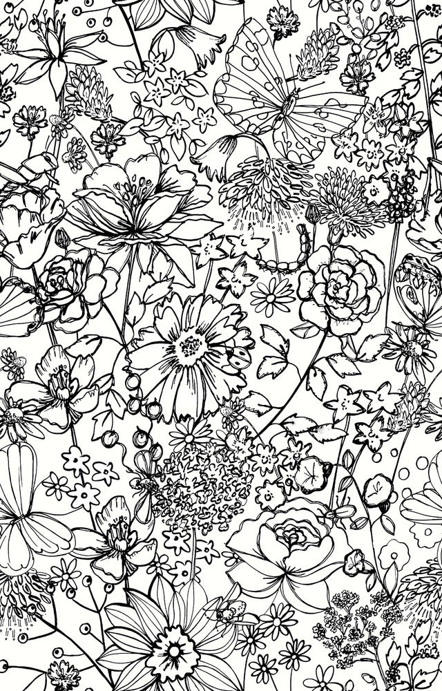 Daley Black Line Floral Wallpaper by A-Street Prints A-Street Select Covers about 56.4 square feet 20.5-in by 33-ft long roll Unpasted 32.6 - Fabric Carolina -
