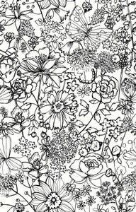Daley Black Line Floral Wallpaper by A-Street Prints