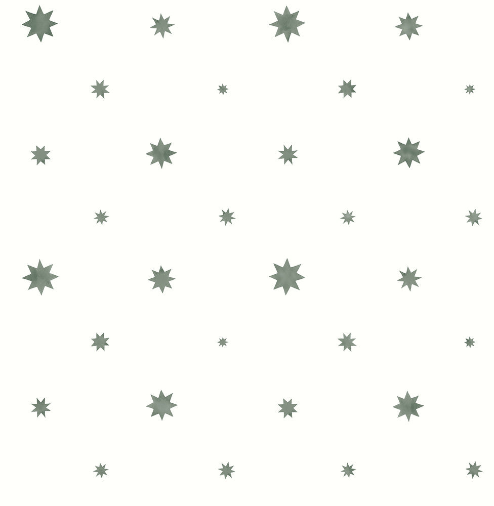 Henry Green Starburst Wallpaper by A-Street Prints Erin Gates Covers about 56.4 square feet 20.5-in by 33-ft long roll Unpasted 21 - Fabric Carolina -