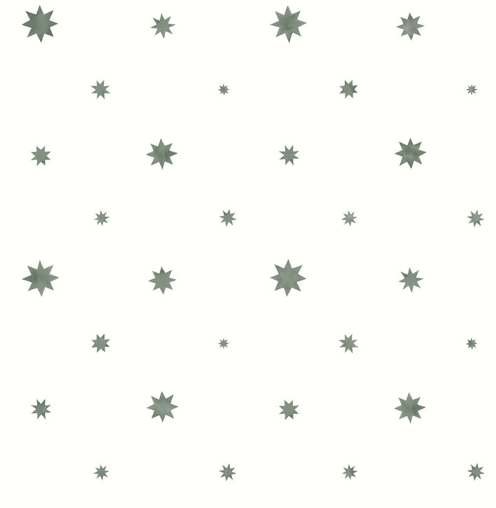 Henry Green Starburst Wallpaper by A-Street Prints Erin Gates Covers about 56.4 square feet 20.5-in by 33-ft long roll Unpasted 21 - Fabric Carolina -