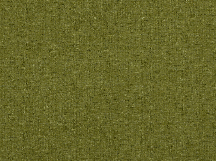Aster Avocado 200 by Covington Fabric 100% POLYESTER CHN 81000 Horizontal: 0 and Vertical: 0 57 - Fabric Carolina -