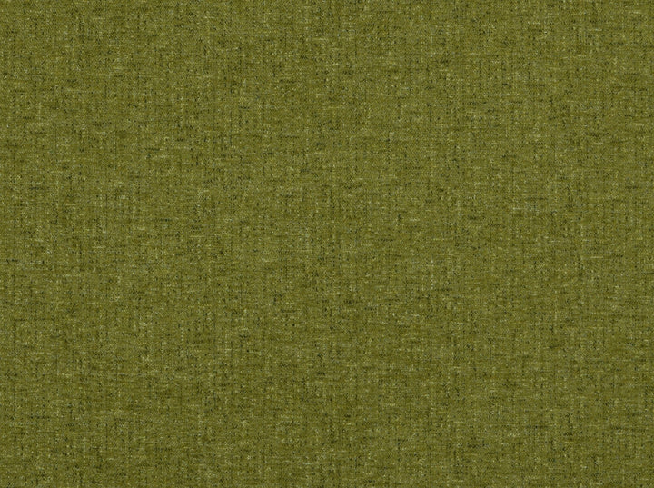 Aster Avocado 200 by Covington Designer Fabric 100% POLYESTER CHN 81000 Horizontal: 0 and Vertical: 0 57 - Swanky Fabrics -
