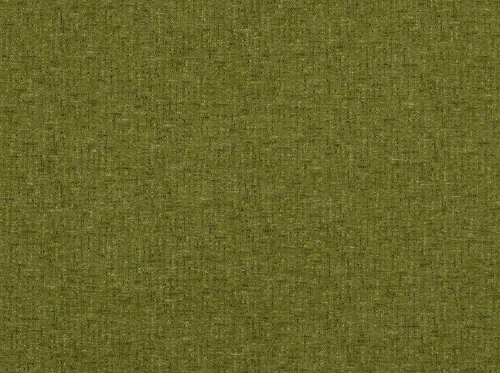 Aster Avocado 200 by Covington Fabric our website for purchase 100% Polyester China 81000 Horizontal: 0" and Vertical: 0" 58" - Fabric Carolina -