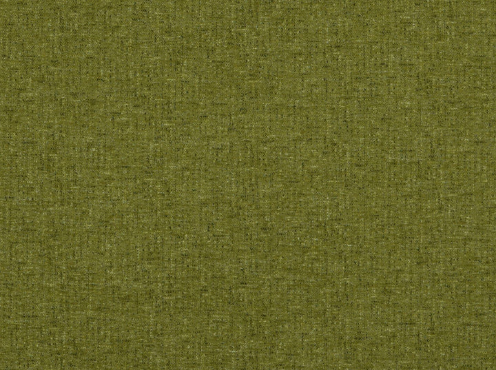 Aster Avocado 200 by Covington Designer Fabric our website for purchase 100% Polyester China 81000 Horizontal: 0" and Vertical: 0" 58" - Swanky Fabrics -