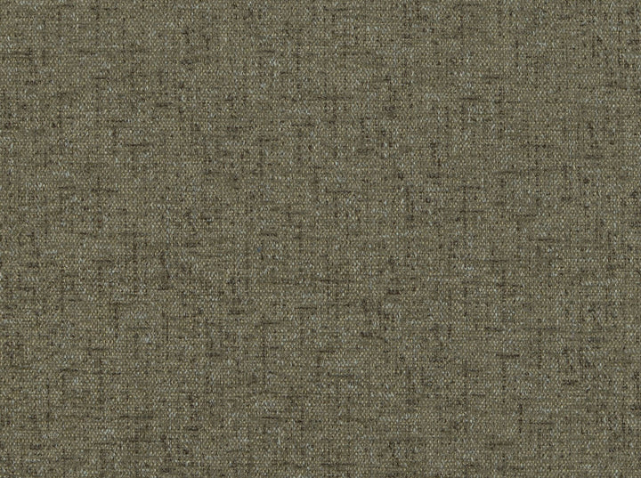 Aster 644 Caribou by Covington Fabric 100% POLYESTER China 81000 Horizontal: 0 and Vertical: 0 57 - Fabric Carolina -
