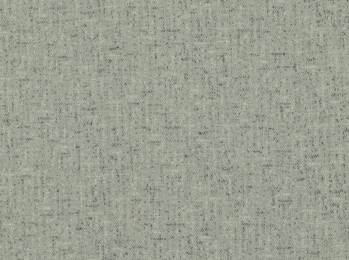 Aster 915 Urban Grey by Covington Fabric 100% POLYESTER China 81000 Horizontal: 0 and Vertical: 0 57 - Fabric Carolina -