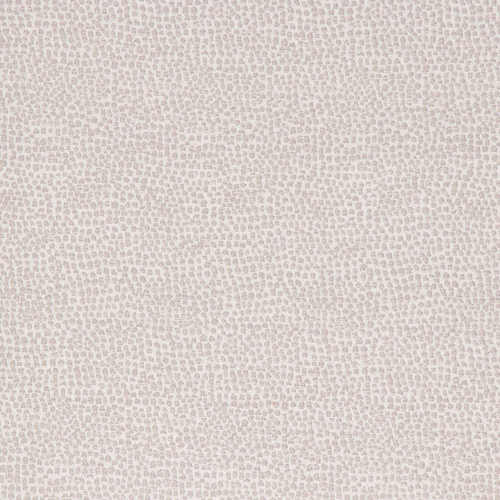 Astoria Dove by Bella-Dura Designer Fabric  100% BELLA DURA POLYOLEFIN USA 70000 H: N/A V: N/A 53.5''  - Swanky Fabrics -