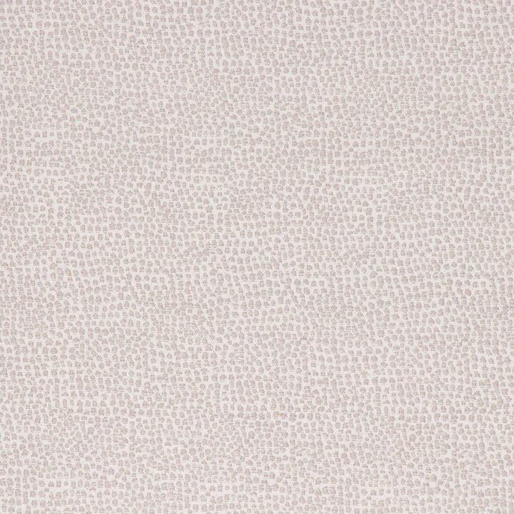 Astoria Dove by Bella-Dura Fabric  100% BELLA DURA POLYOLEFIN USA 70000 H: N/A V: N/A 53.5''  - Fabric Carolina -