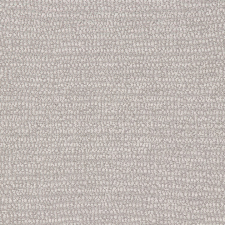 Astoria Silvermine by Bella-Dura Fabric  100% BELLA DURA POLYOLEFIN USA 70000 H: N/A V: N/A 53.5''  - Fabric Carolina -