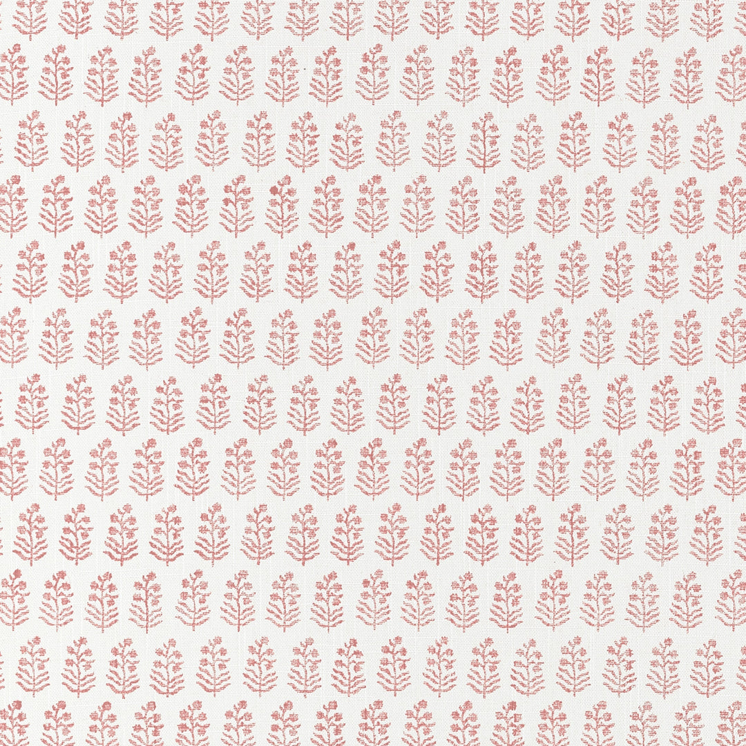 CHLOE - Blush by Anna French Wallpaper