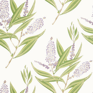 Winter Bud Lavender AT23134 by Anna French Wallpaper
