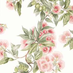Camellia Garden Coral AT24550 by Anna French Wallpaper