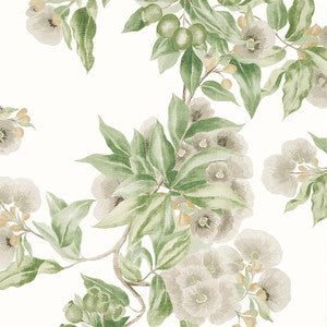 Camellia Garden Spring on White AT24551 by Anna French Wallpaper
